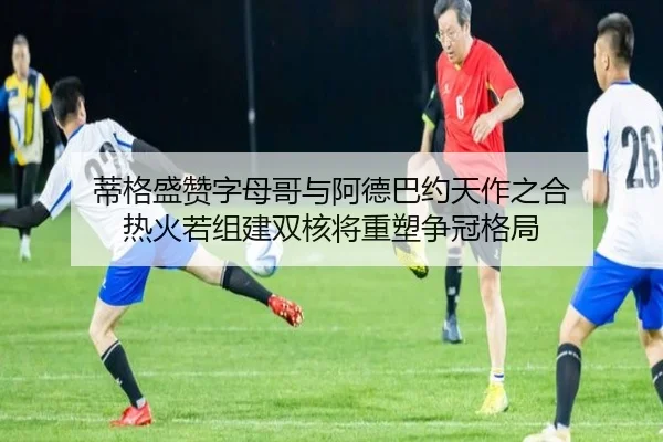 蒂格盛赞字母哥与阿德巴约天作之合 热火若组建双核将重塑争冠格局 | jiuyou